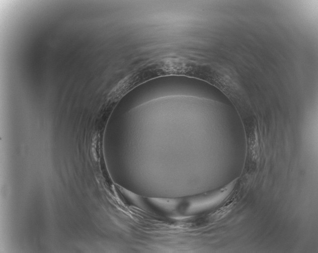 X0000059230233200510171459
