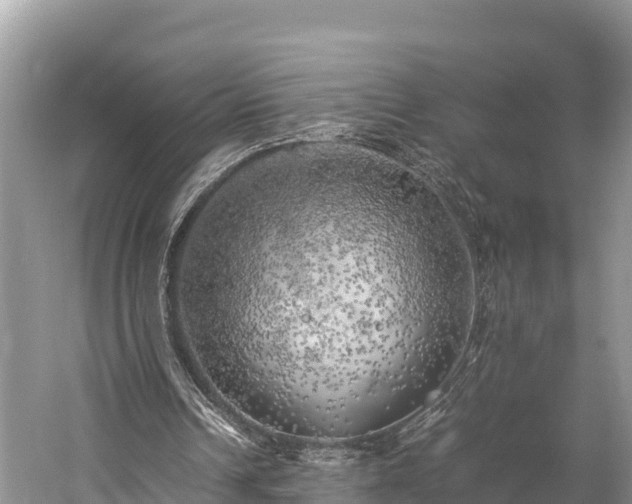 X0000059230242200510171458
