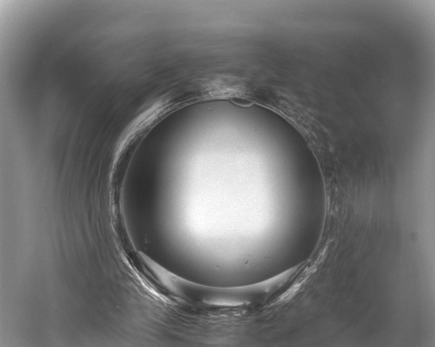 X0000059230245200510171458
