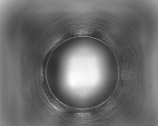 X0000059230251200510171458
