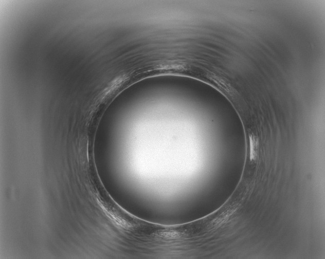 X0000059230253200510171459