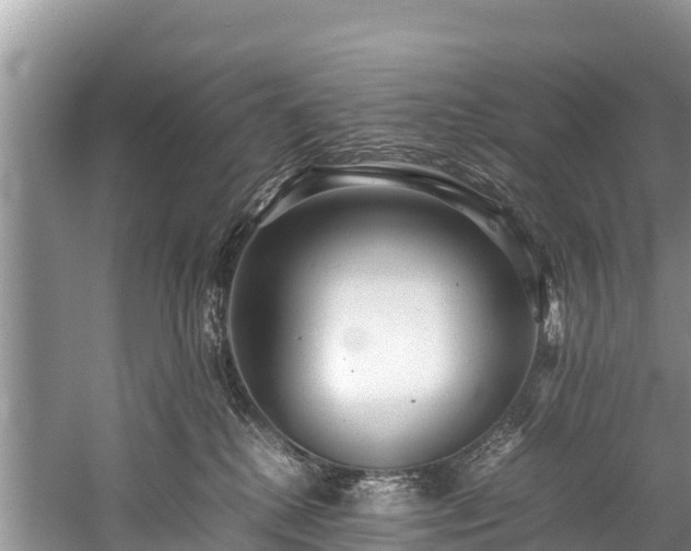 X0000059230280200510171459