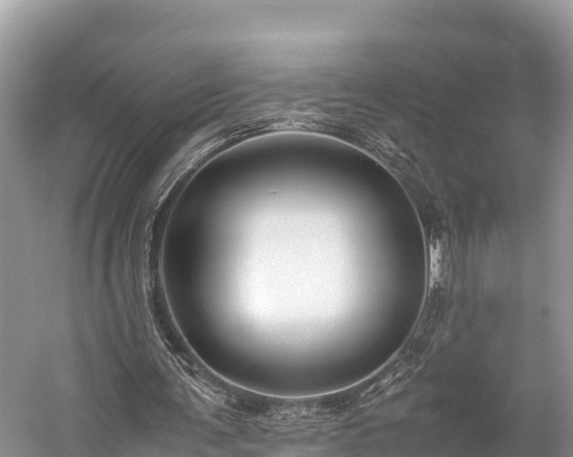 X0000059230291200510171458