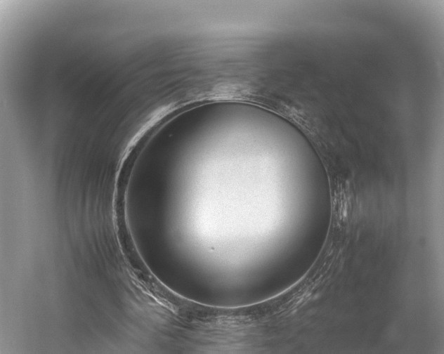X0000059230292200510171458