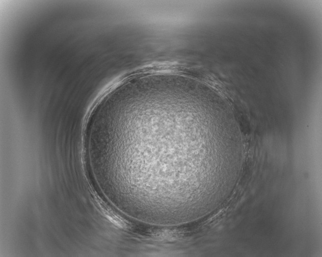 X0000059230293200510171458
