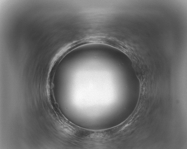 X0000059230294200510171458