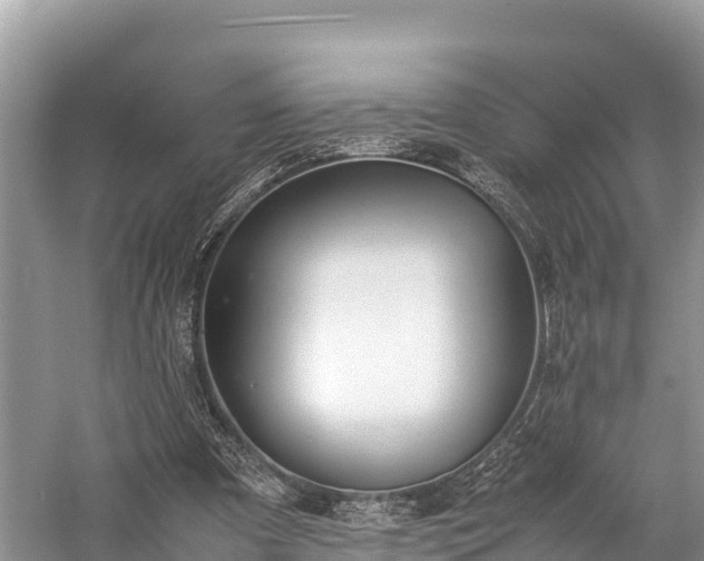 X0000059230297200510171458