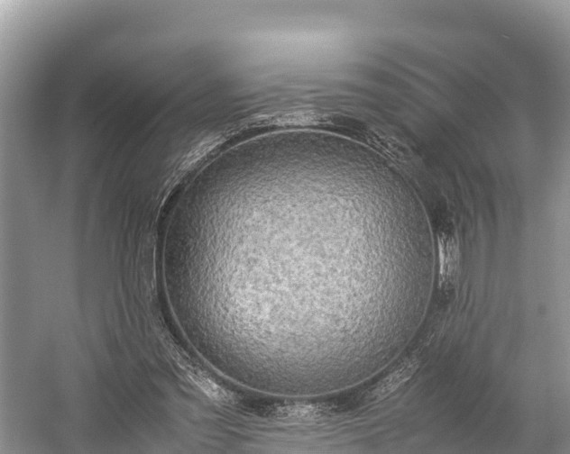 X0000059230301200510171458