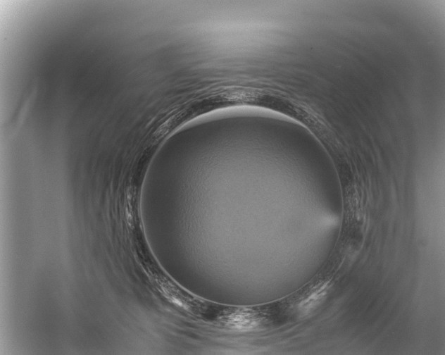 X0000059230325200510171458