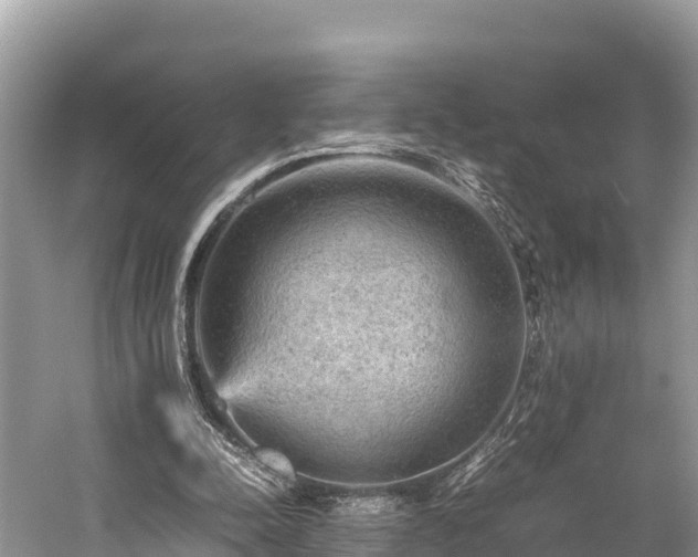 X0000059230342200510171457