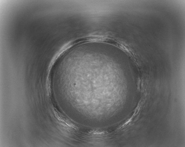 X0000059230343200510171457