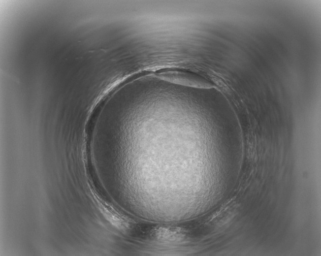 X0000059230346200510171457