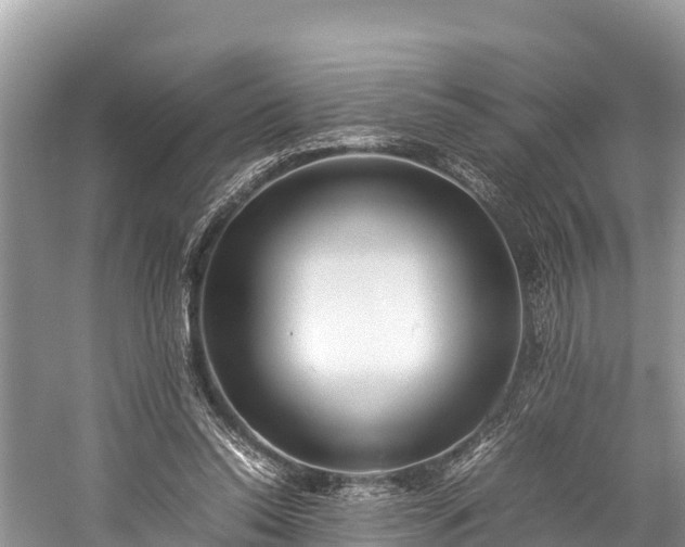 X0000059230350200510171457
