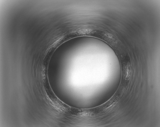 X0000059230356200510171457