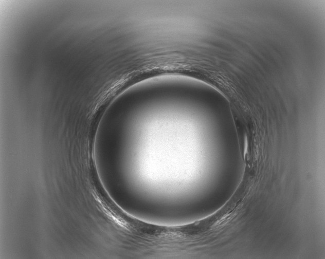 X0000059230397200510171456
