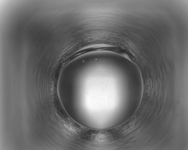 X0000059230412200510171456