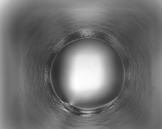 X0000059230417200510171456