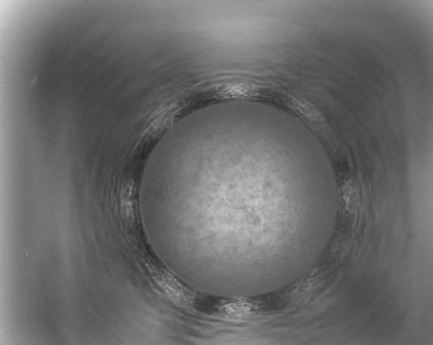 X0000059230423200510171456