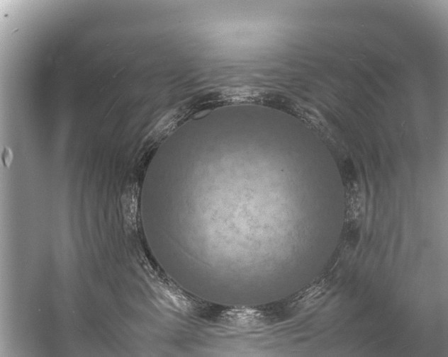X0000059230427200510171456