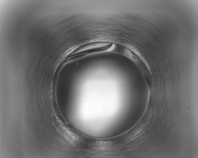 X0000059230437200510171455