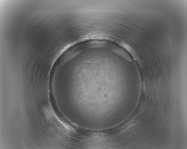 X0000059230438200510171455