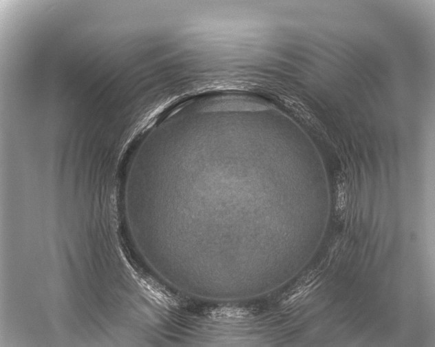 X0000059230444200510171455