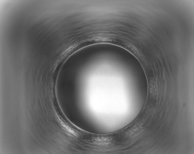 X0000059230445200510171455