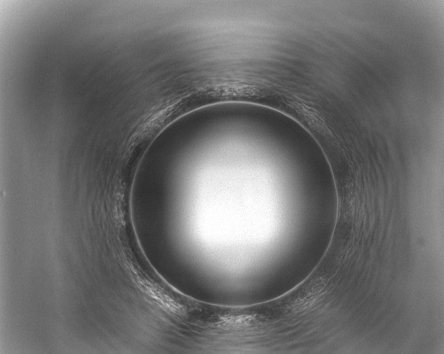 X0000059230450200510171455