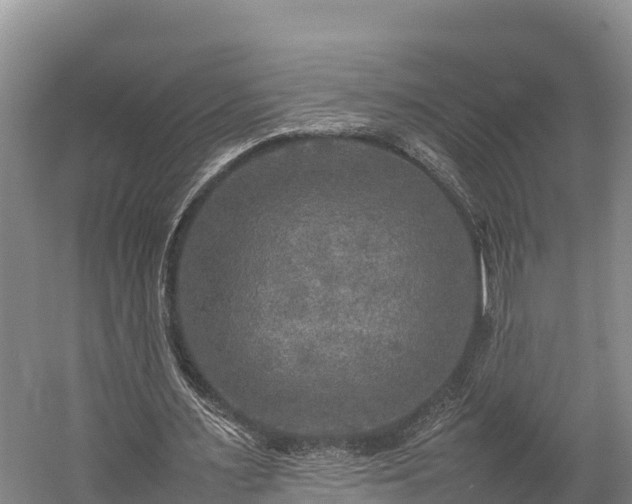 X0000059230483200510171455