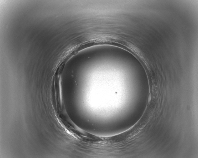 X0000059230485200510171455