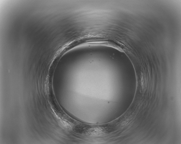 X0000059230492200510171455