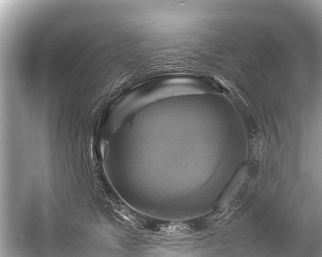 X0000059230517200510171454