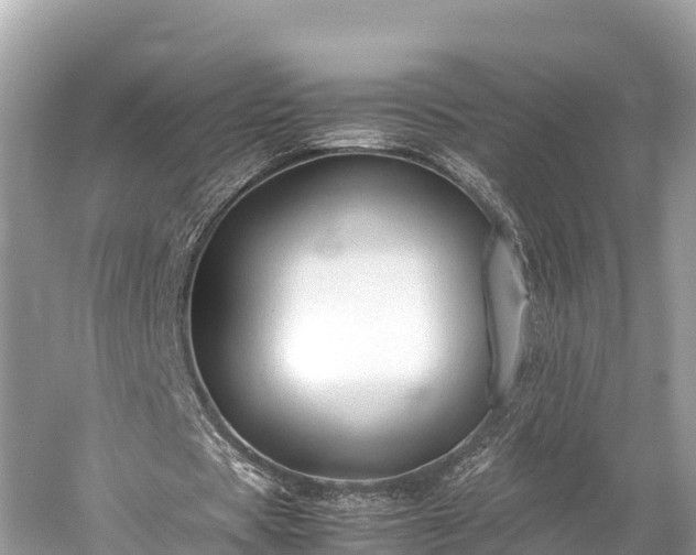 X0000059230529200510171453
