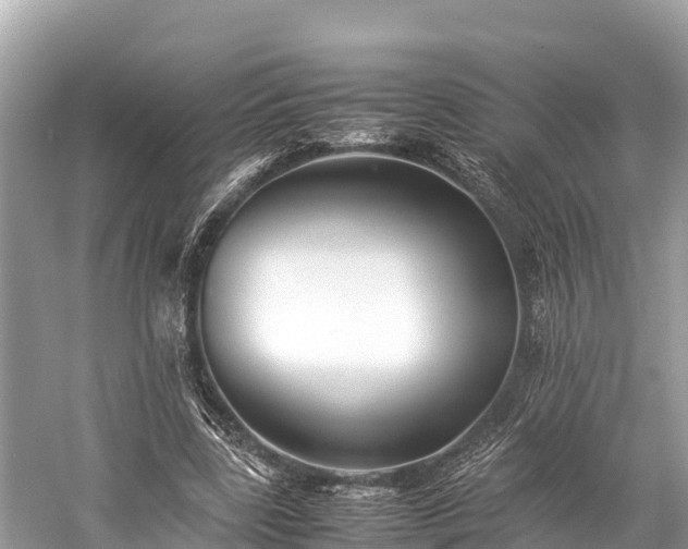 X0000059230539200510171453