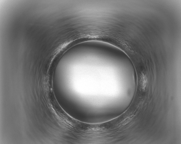 X0000059230540200510171453