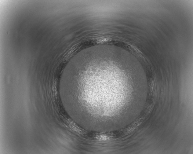 X0000059230565200510171454
