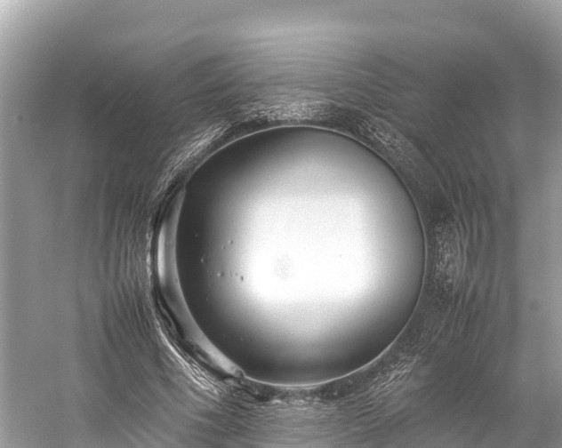 X0000059230586200510171453