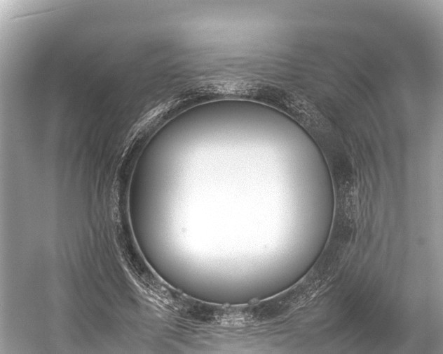 X0000059230587200510171453