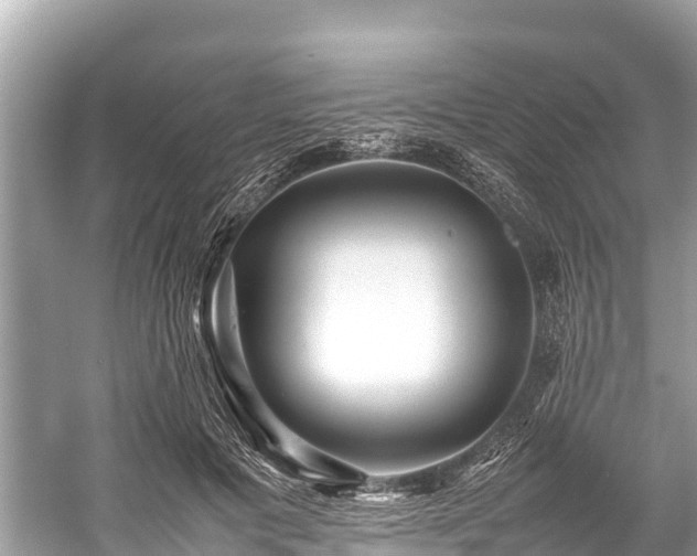 X0000059230601200510171453