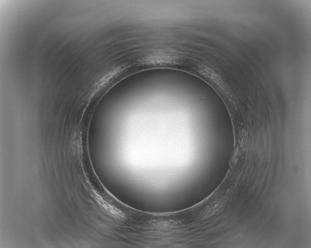 X0000059230629200510171452