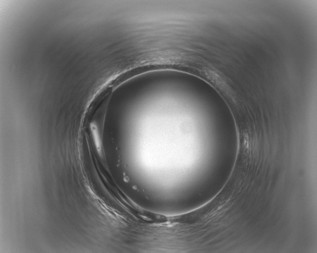 X0000059230676200510171452