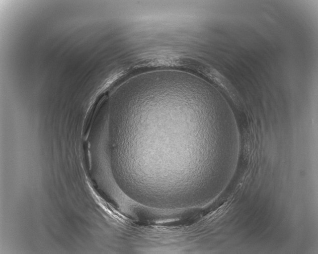 X0000059230677200510171451