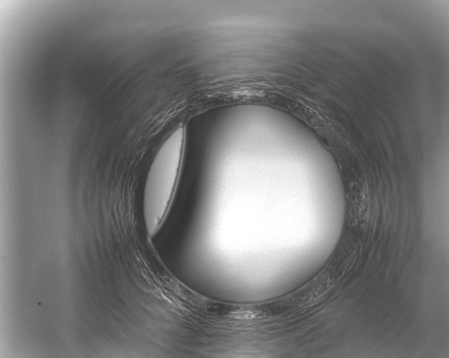 X0000059230704200510171451
