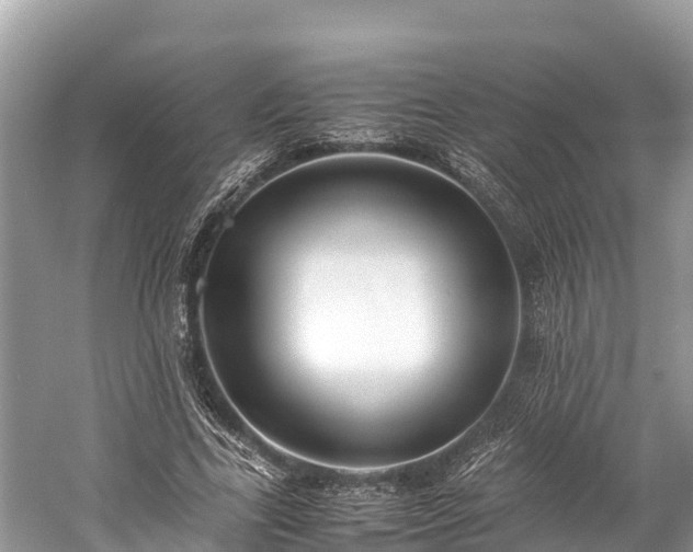 X0000059230731200510171450