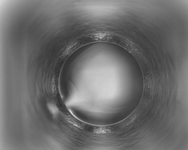 X0000059230754200510171450