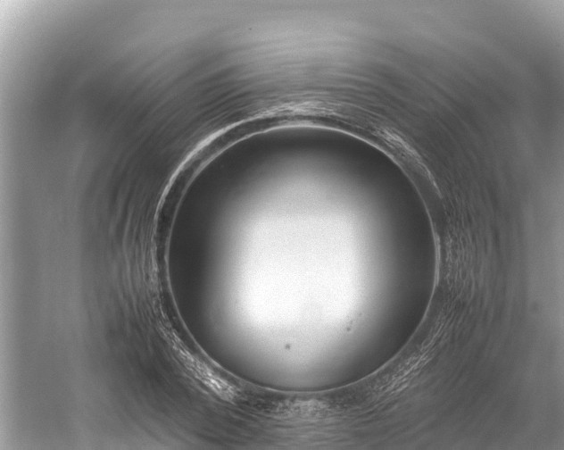 X0000059230784200510171450