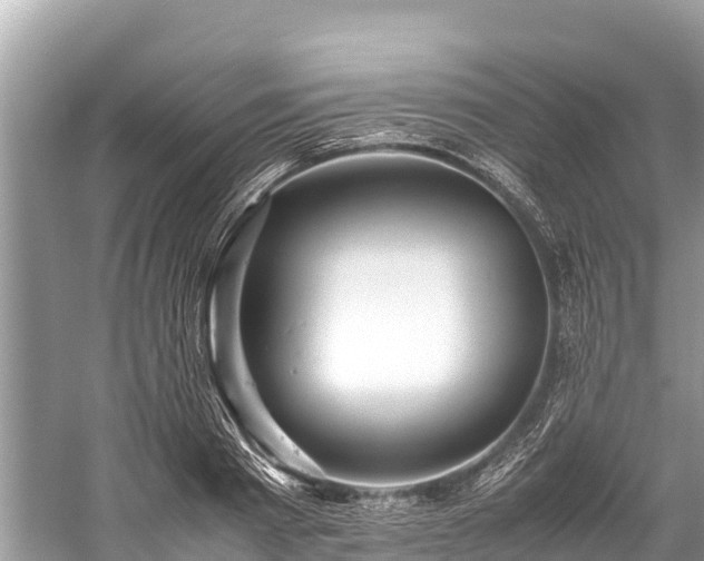 X0000059230793200510171449