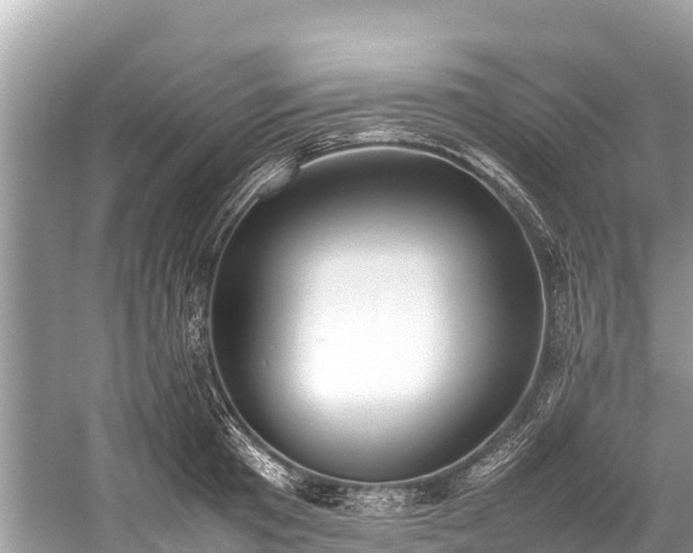 X0000059230801200510171449