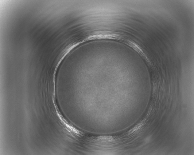 X0000059230844200510171449