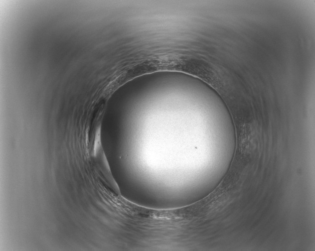 X0000059230866200510171448